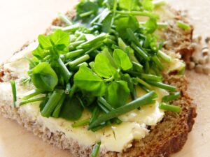 Brunnenkresse mit Schnittlauch und Butter auf Brot